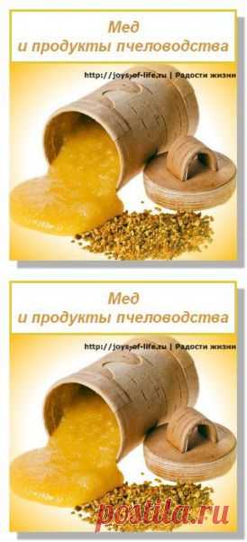 Мед и продукты пчеловодства | Еда Для Здоровья