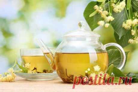 Как очиститься от негатива и исцелиться от заболеваний при помощи липы.