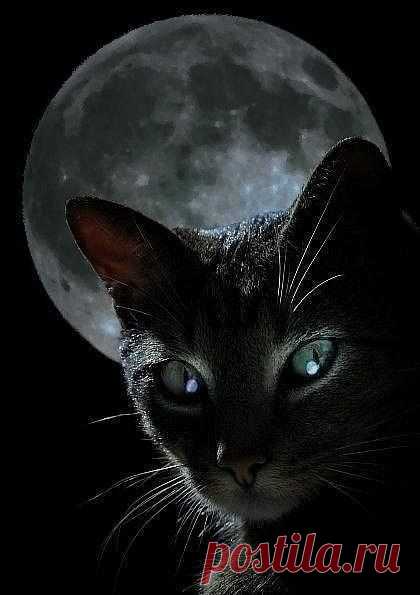 Ольга Попова