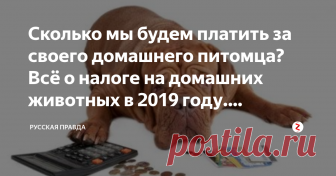 Сколько мы будем платить за своего домашнего питомца? Всё о налоге на домашних животных в 2019 году. Последние новости И снова наши депутаты превзошли себя же в искусстве отбора денег у населения! Госдума предлагает «пересчитать» всех домашних животных будь то собака, кошка, попугай и даже рыбка. Вы спросите, так что же здесь плохого, а то что это всё будет далеко не бесплатно и такая мера не что иное как новый способ пополнить казну…
До начала следующего года в России дол...