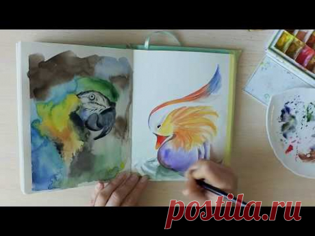 Утка мандаринка акварелью за 20 минут! Быстрый скетч.