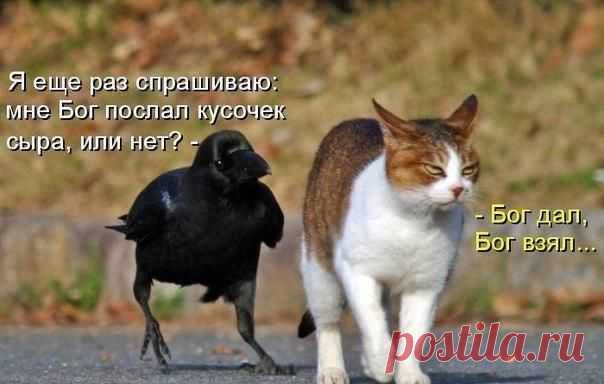 Новости