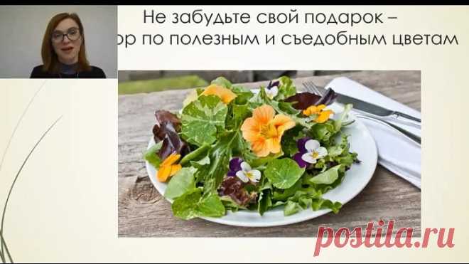 Елена Лангольф Запись вебинара “У вас скоро гости? Как можно приготовить быстро вкусный стол, который даст чувство сытости и легкости?