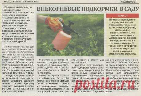 Внекорневые подкормки в саду