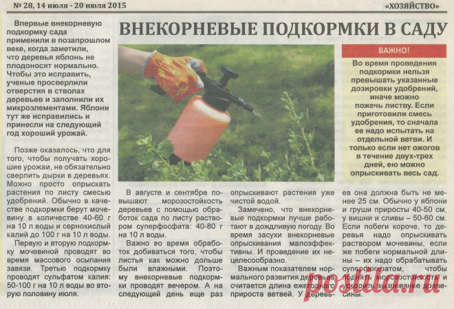 Внекорневые подкормки в саду