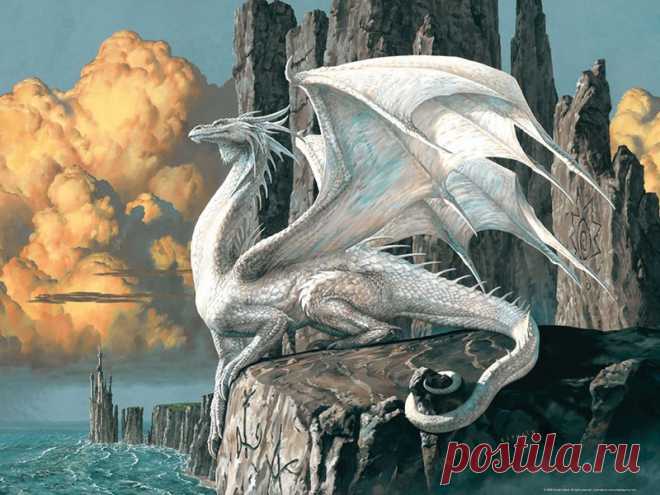 Убивать ли дракона?.