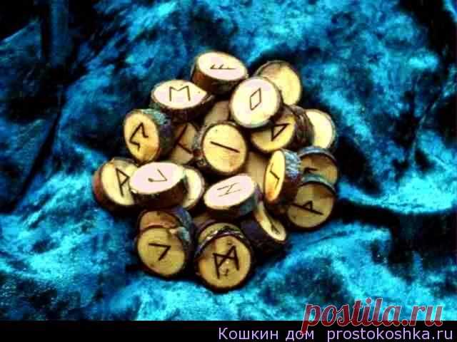 Дерево для изготовления рун и амулетов
Существуют разные мнения о том, стоит ли уделять особое внимание выбору породы дерева для изготовления рун и амулетов. Некоторые считают, что порода дерева не имеет значения.

Другие же уверены, что дерево для изготовления рун должно быть «своим», близким тому, кто будет использовать эти руны. В любом случае, прежде чем приступать к созданию деревянных рун, нелишним будет узнать о «магических» свойствах некоторых пород деревьев и кустарников.