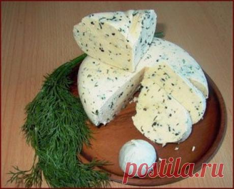 ТОР - 14 Подборка вкусных домашних сыров!

1.Домашняя моцарелла.

Ингредиенты:

На 2 порции:
●1 л молока
●125 г натурального йогурта
●1,5 ч.л. соли (можно больше, кто как любит) получается не сильно солёная
●1 ст.л. уксусной эссенции (25%)

Приготовление:

Молоко с солью нагреть, но не доводить до кипения. Добавить йогурт, перемешать, добавить уксус, хорошо перемешать и убрать с плиты. Дуршлаг застелить чистой марлей свёрнутой примерно в 4 слоя, вылить туда свернувшееся мо...