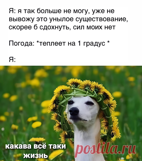 15 жизненных мемов про весну и потепление