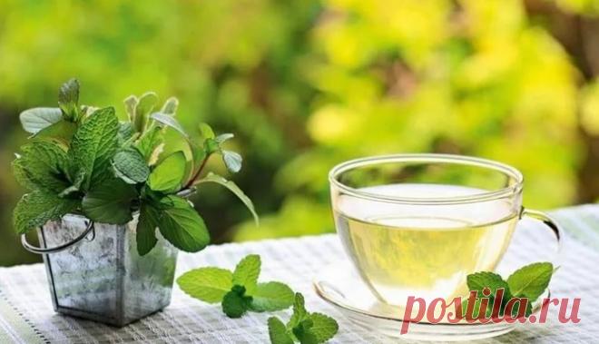 7 отличных советов для дачников и не только! Проверено годами… | hdok.ru - развивай своё хобби с нами.