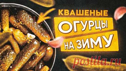 Статьи, новости и видео от популярных блогеров и СМИ | Будь в теме — будь в Дзене