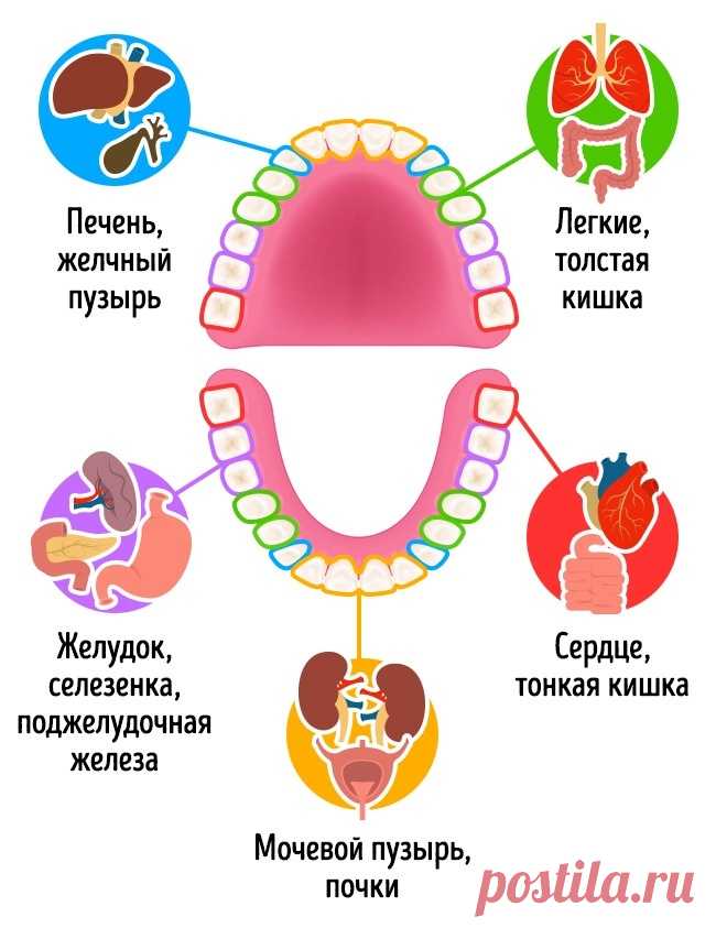 10 популярных продуктов, которые наносят вашим зубам непоправимый вред
