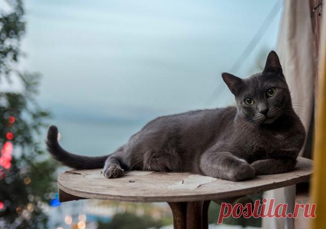 Колоритные фото из Израиля. Фотограф Макс Шамота