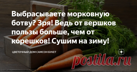 Выбрасываете морковную ботву? Зря! Ведь от вершков пользы больше, чем от корешков! Сушим на зиму! Морковь выращивается практически на каждом огороде или дачном участке. Не обходится без этого корнеплода приготовление первых блюд, разнообразных салатов, заготовок на зиму, да и просто морковный сок полезен и любим многими. Но далеко не многие знают о том, что морковная ботва превосходит по содержанию витаминов и микроэлементов корнеплоды и содержит ряд полезных веществ, которые в корнеплодах отс