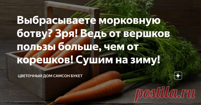 Выбрасываете морковную ботву? Зря! Ведь от вершков пользы больше, чем от корешков! Сушим на зиму! Морковь выращивается практически на каждом огороде или дачном участке. Не обходится без этого корнеплода приготовление первых блюд, разнообразных салатов, заготовок на зиму, да и просто морковный сок полезен и любим многими. Но далеко не многие знают о том, что морковная ботва превосходит по содержанию витаминов и микроэлементов корнеплоды и содержит ряд полезных веществ, которые в корнеплодах отс