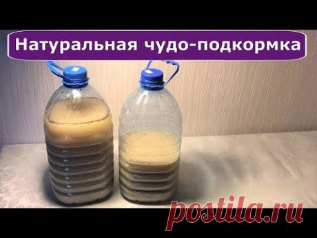369. Натуральная чудо подкормка для всего