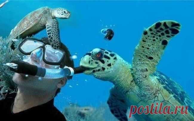 За секунду до