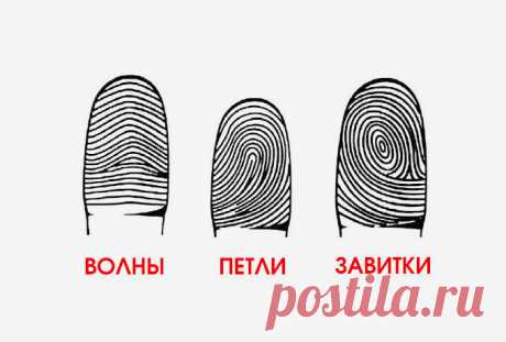 Посмотри на свои руки: а вдруг ты гений?