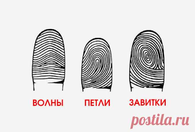 Хотите знать, насколько вы умны? Посмотрите на узор на пальцах!