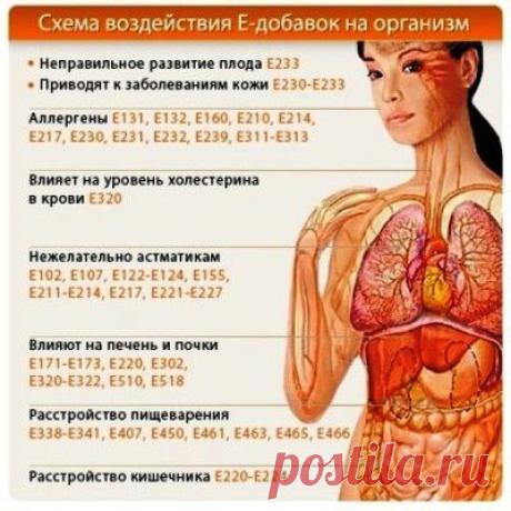 (+1) тема - Описание и расшифровка пищевых добавок | МОЙ ДОМ