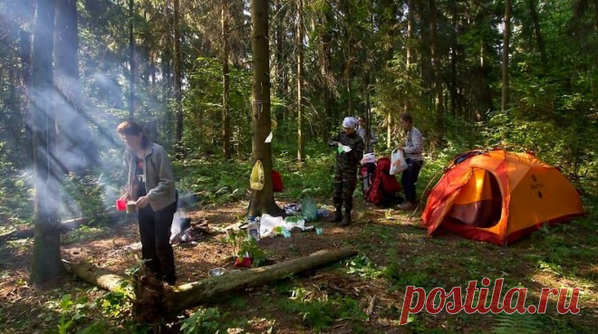 Предметы первой необходимости в лесу