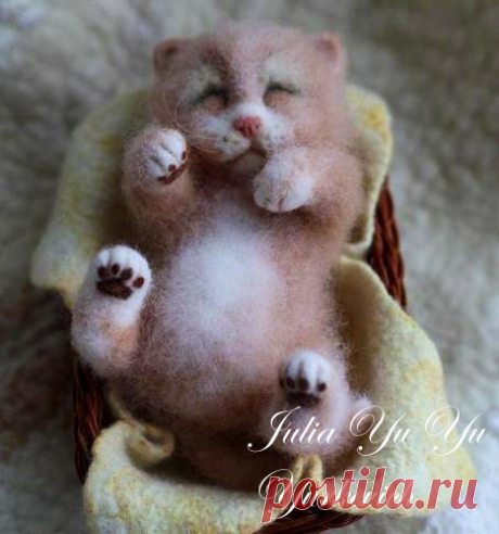 Кошечка Смуля | Кот и кошка