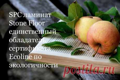Какой сертификат подтвердит полную безопасность состава напольного покрытия? Только российский Ecoline! Весь ламинат и плитка SPC Stone Floor получили право носить знак Эколайн за экологичность своего состава. Смотрите протокол испытаний на сайте производителя в Казани 
#экологичностьspcламината