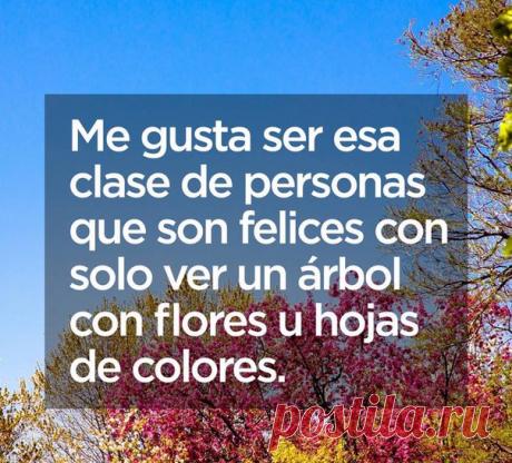 Мне нравится быть таким типом людей, которые счастливы от вида дерева с цветами и цветными листьями / Изучаем Испанский