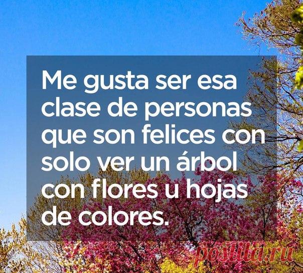 Мне нравится быть таким типом людей, которые счастливы от вида дерева с цветами и цветными листьями / Изучаем Испанский