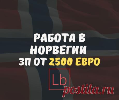 Работа в Норвегии: вакансии от 2500 € в Норвегии - Layboard