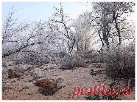 К Природе, иней и туман, у моря. 2018-11-26. - 7 Декабря 2018 - Персональный сайт