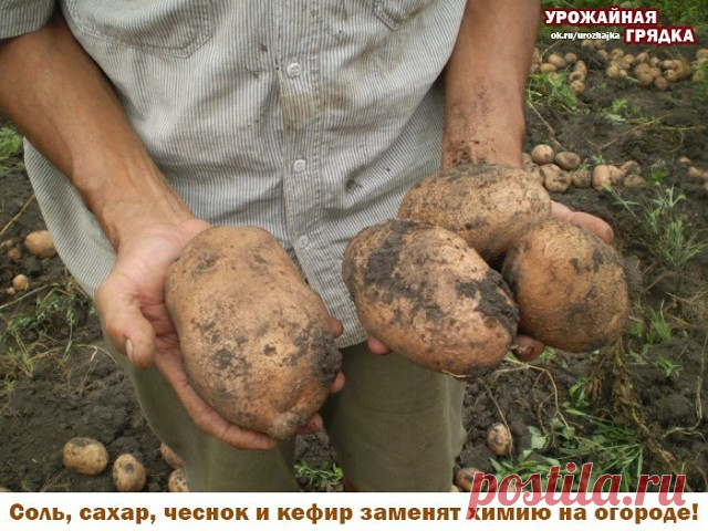 Одноклассники