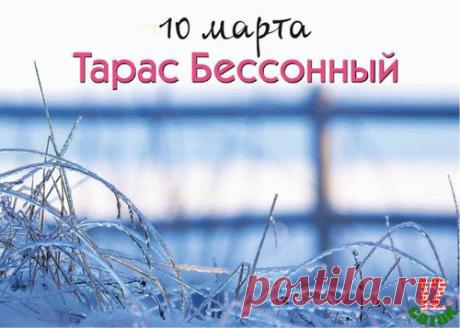 С днем Тараса Бессонного! Желаю, чтобы, в отличие от названия дня, сон твой был крепким, а здоровье — железным. Открытки на Тарас Бессонный!