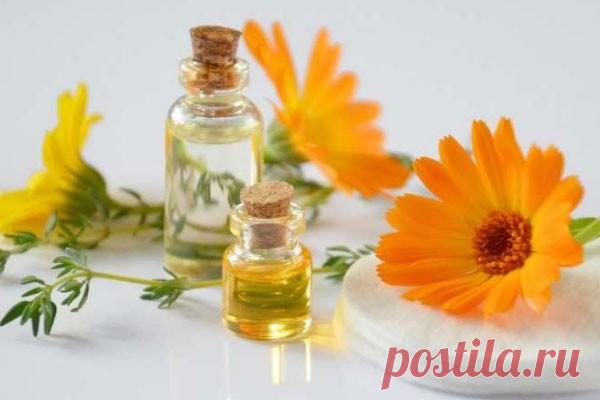 Растения для заживления ран Всем известный подорожник – это далеко не предел.Фитотерапевт Михаил Лущик рассказал о произрастающих на территории РФ растениях, которые могут заживлять раны.По словам кандидата биологических наук, на рану можно прикладывать размятые цветки ромашки или календулы, так как данные растения...