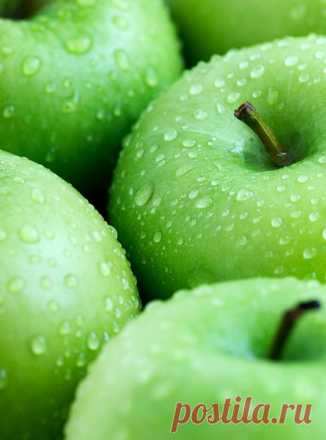 Foliage, leaves, ferns, greenery, undergrowth, overgrown, botanical,