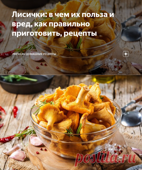 Лисички: в чем их польза и вред, как правильно приготовить, рецепты | Fresh.ru домашние рецепты | Яндекс Дзен