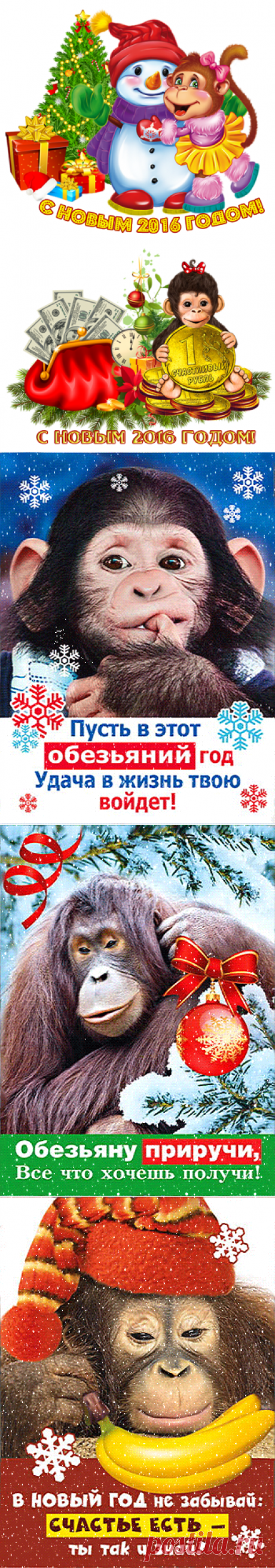 Новогодние поздравлялочки с Обезьянками..
