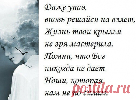 Мое здоровье