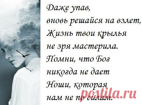 Мое здоровье