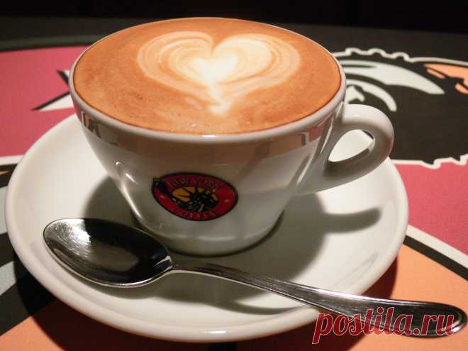 Вредно ли пить кофе? 9 фактов о пользе этого напитка