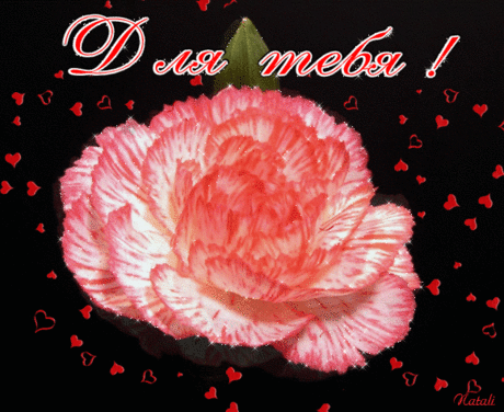 Мой Мир@Mail.Ru