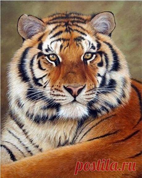 (99) Одноклассники