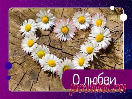 О любви Мы очень часто путаем банальную привязанность и любовь. Привязанность и любовь внешне очень похожи, но суть у них разная. Фактически привязанность - это полная противоположность любви, так как за внешними признаками любви она скрывает в себе гордость, зависть и ненависть, так как основана...