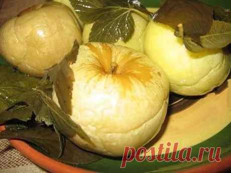 моченые яблоки в бочке - Поиск в Google