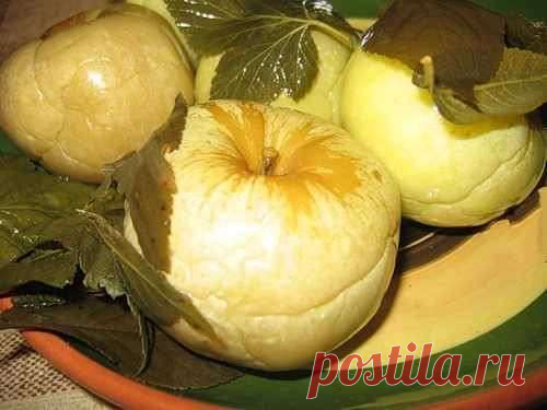 моченые яблоки в бочке - Поиск в Google