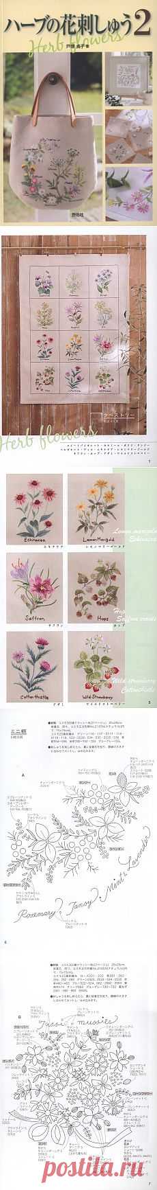 Herb Flowers 2.