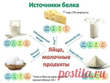 Источники белка. Полезно знать! / Surfingbird - мы делаем интернет лучше