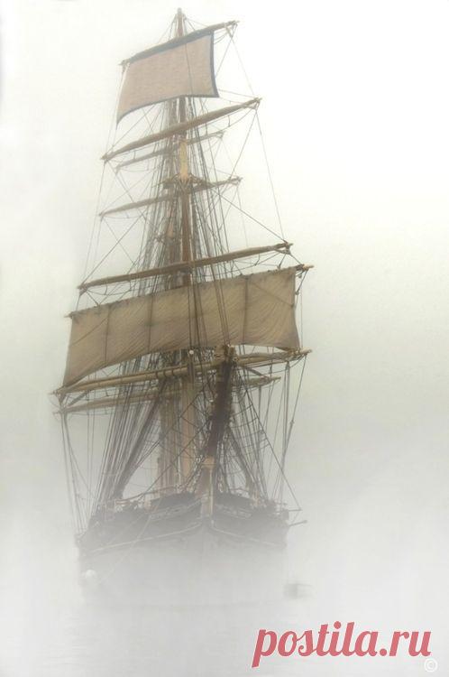 Найдено на сайте Uploaded by user.