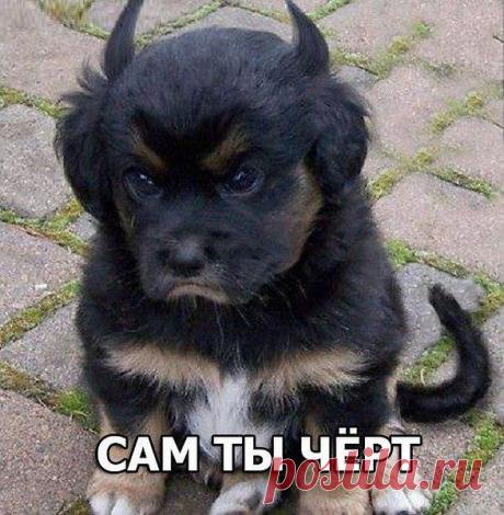 Интересные новости