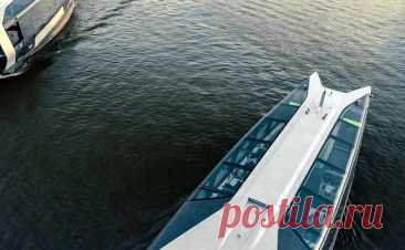 Из Москвы-реки спасли прыгнувшего в реку мужчину и очевидца. В Москве в районе Шелепихинского моста экипаж электросудна «Химка» обнаружил в воде двух человек, их удалось спасти, сообщил столичный Дептранс в телеграм-канале.